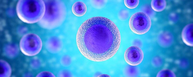 In vitro. Klasyfikacja blastocyst