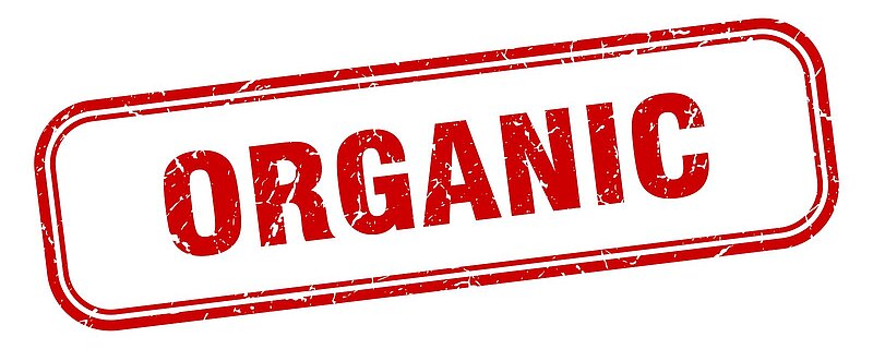 Ubrania z bawełny organicznej - co warto o nich wiedzieć?