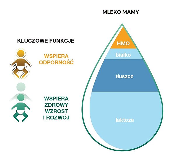 HMO - przełom Nestlé w badaniach nad mlekiem mamy