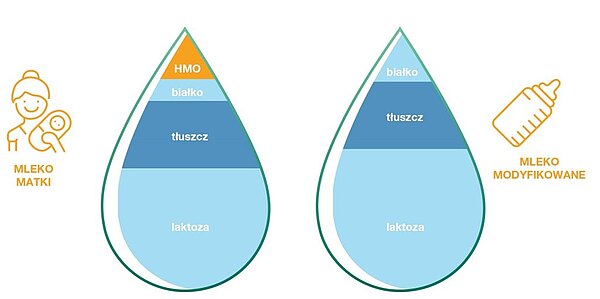 HMO - przełom Nestlé w badaniach nad mlekiem mamy