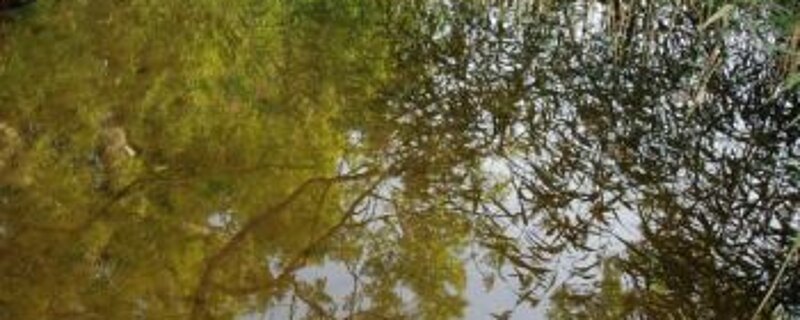 Lubelskie zacisze