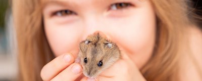 Naukowcy ustalili, jakie zwierzęta obniżają ryzyko alergii u dzieci. Tego zwierzątka lepiej nie kupuj