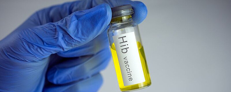 Szczepienie HIB - przeciwko Haemophilus influenzae typu B